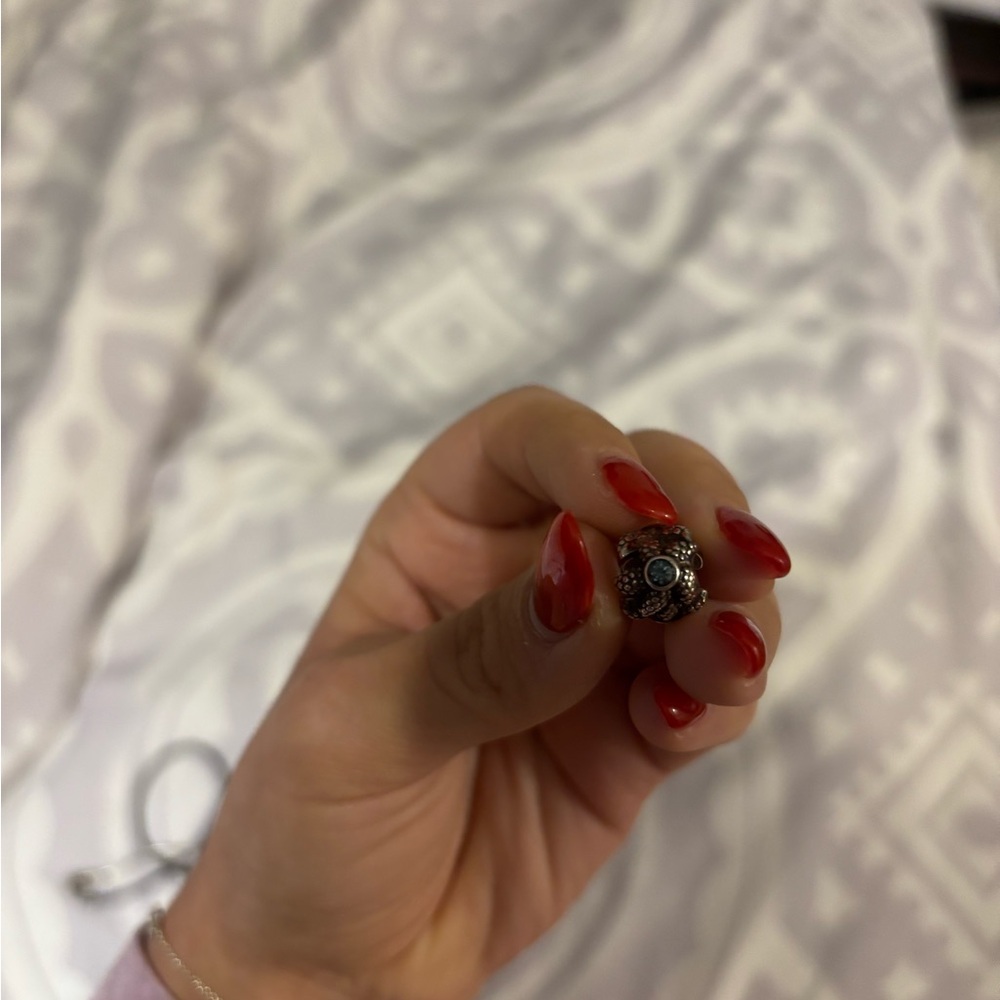 Pandora charm